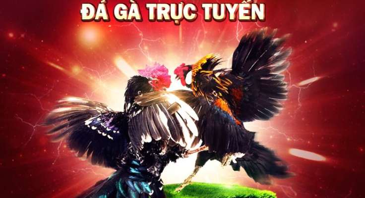 da-ga-truc-tuyen