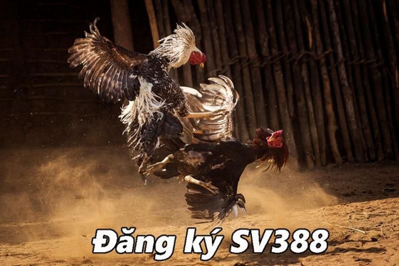 sv388-2